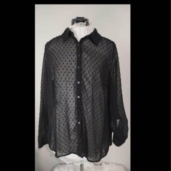 Denim&Co Tops - Blouse Medium Denim & Company Sheer Button 21”=pit-pit 28”=length C2728